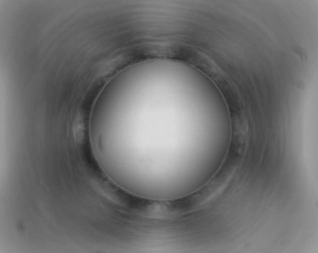 X0000114140080200910221534