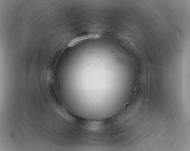 X0000114140081200910221534