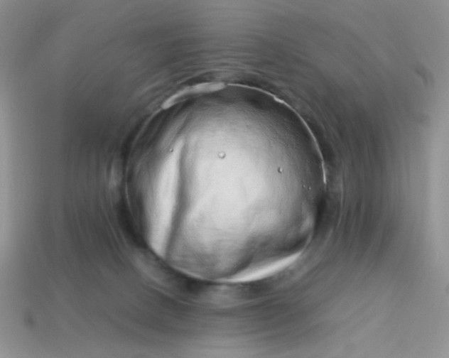 X0000114140082200910221534