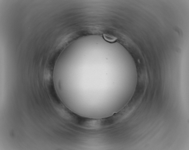 X0000114140084200910221534