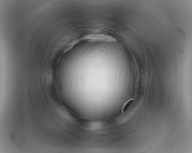 X0000114140085200910221534