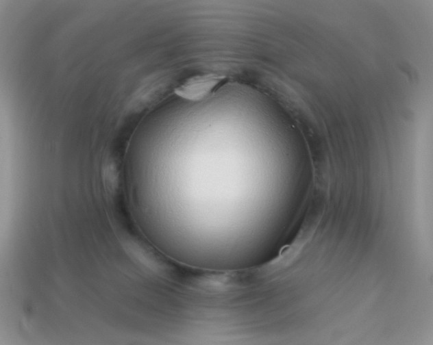 X0000114140086200910221534