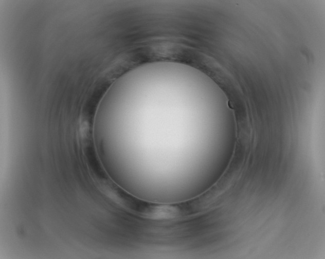 X0000114140087200910221534