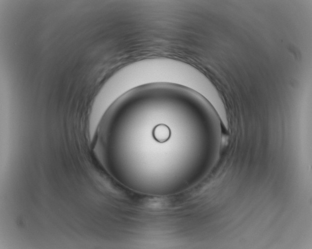 X0000114140088200910221534