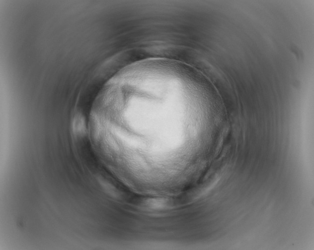 X0000114140089200910221534