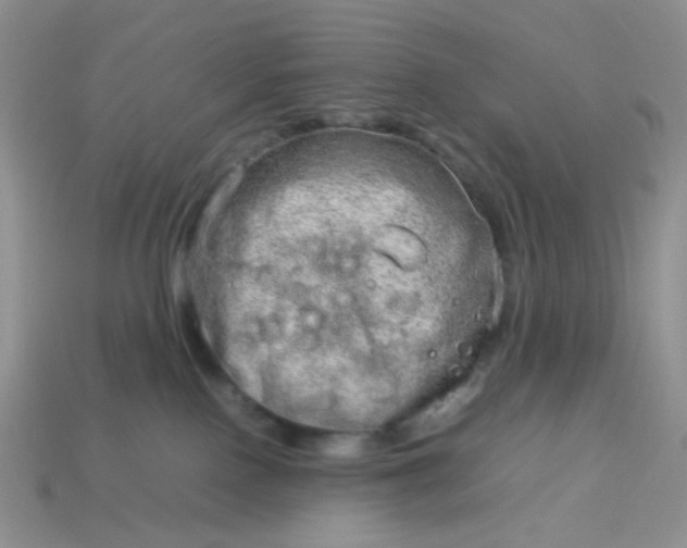 X0000114140090200910221534