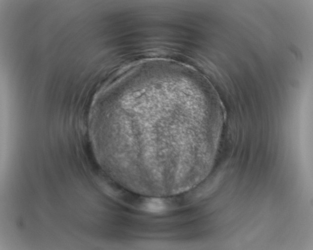 X0000114140091200910221534