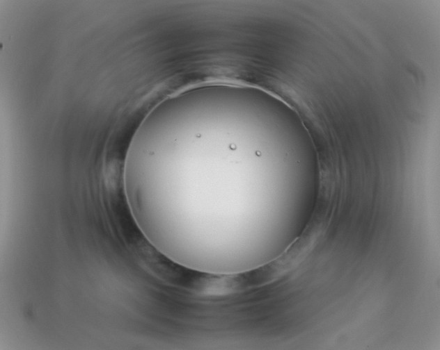 X0000114140093200910221534