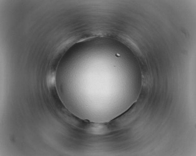 X0000114140095200910221534