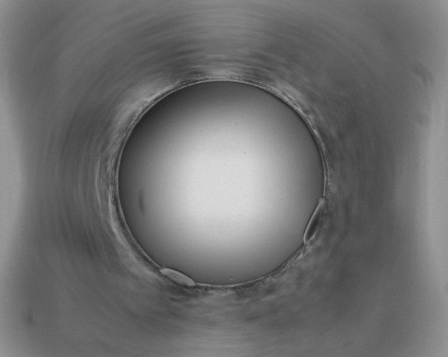 X0000114140097200910221534