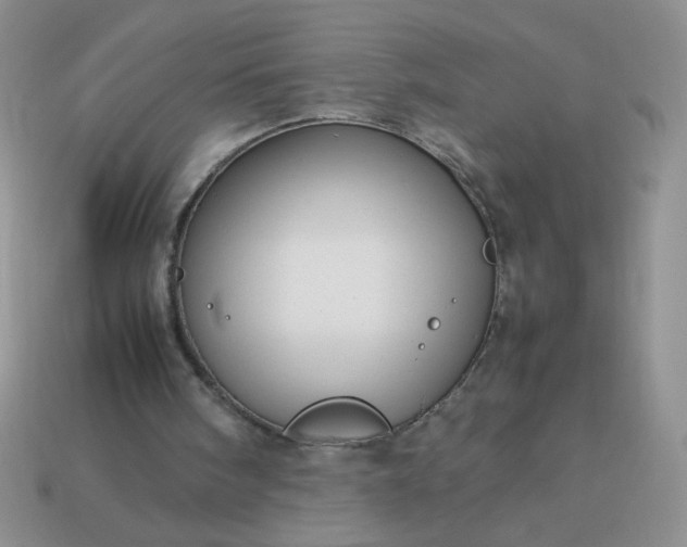 X0000114140098200910221534