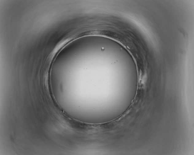 X0000114140099200910221534