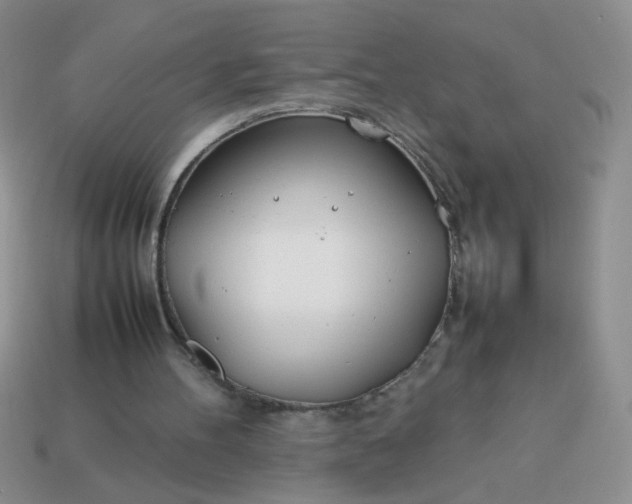 X0000114140100200910221534