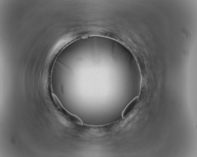 X0000114140101200910221534