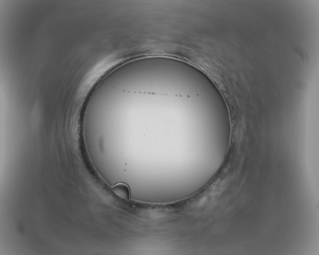 X0000114140103200910221534