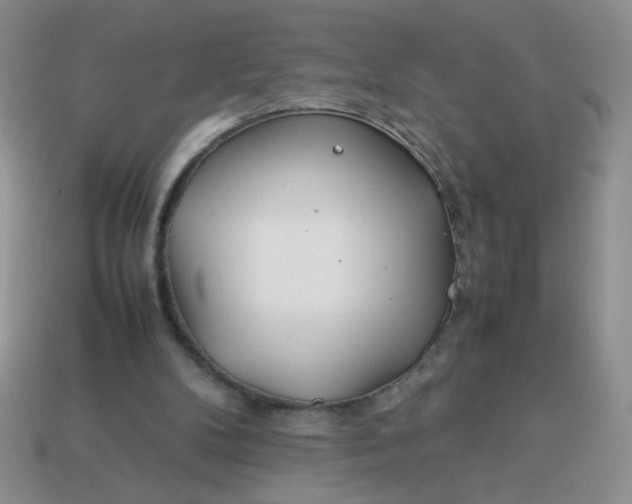 X0000114140104200910221534