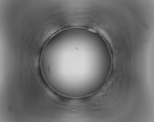 X0000114140105200910221534