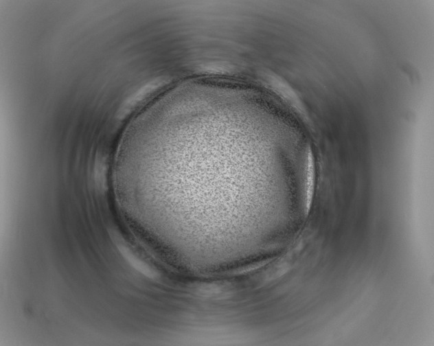 X0000114140106200910221534