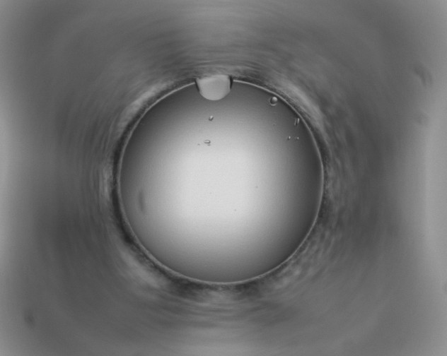 X0000114140107200910221534