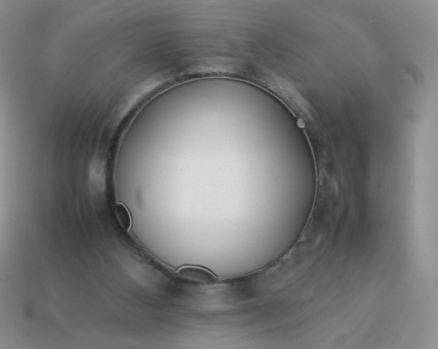 X0000114140108200910221534