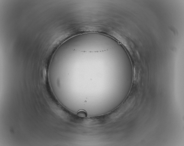 X0000114140109200910221534