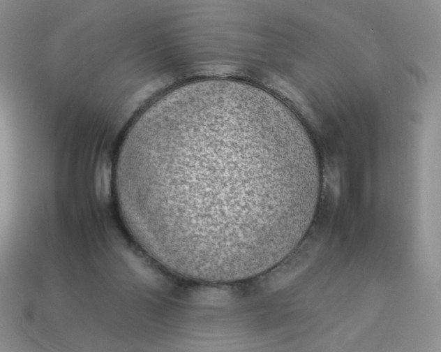 X0000114140110200910221534