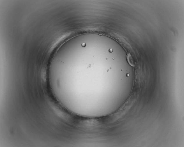 X0000114140112200910221534