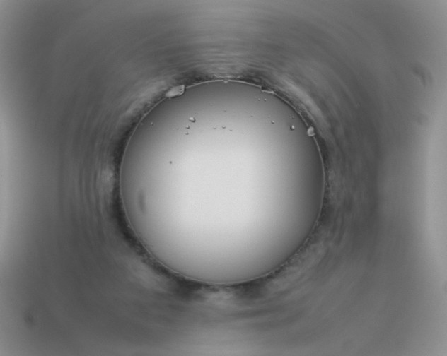 X0000114140113200910221533