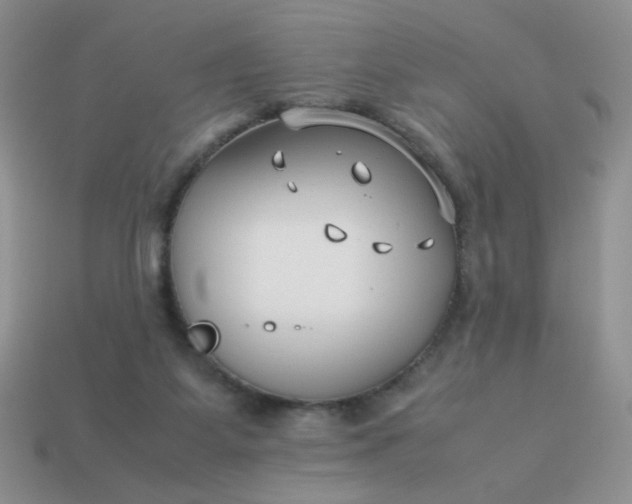 X0000114140115200910221533