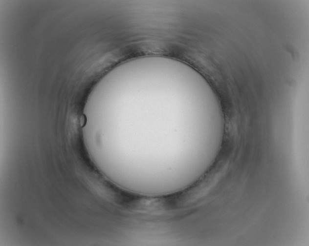 X0000114140117200910221533