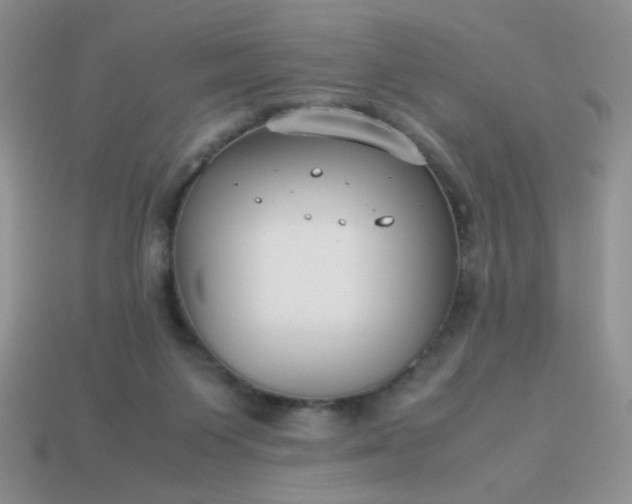 X0000114140119200910221533