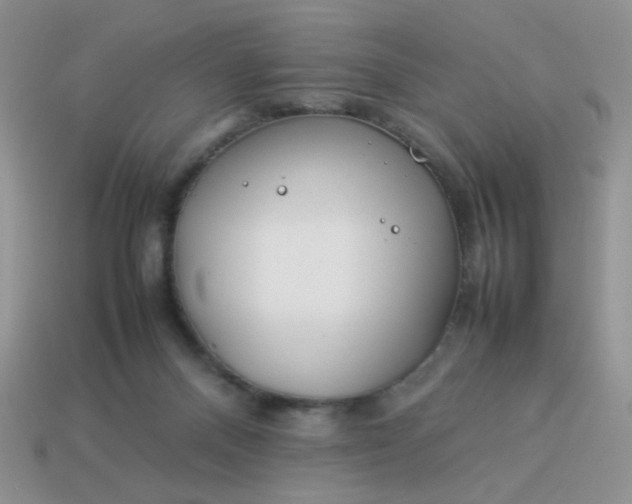 X0000114140120200910221533