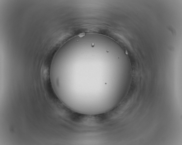 X0000114140123200910221533