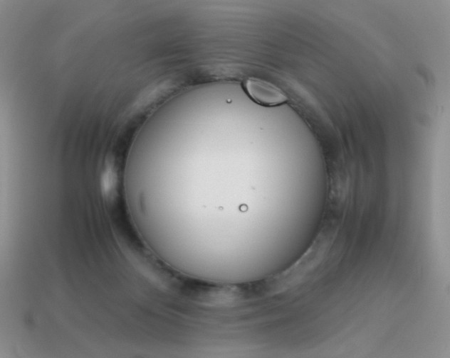 X0000114140124200910221533