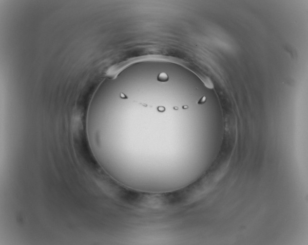 X0000114140127200910221533