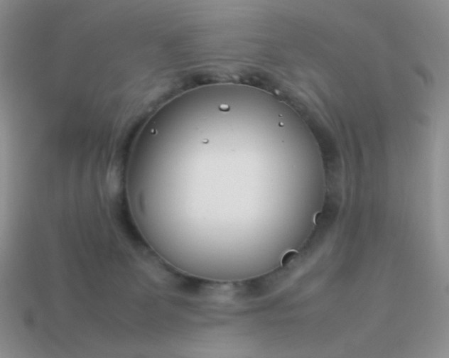 X0000114140131200910221533