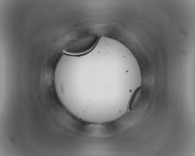 X0000114140133200910221533