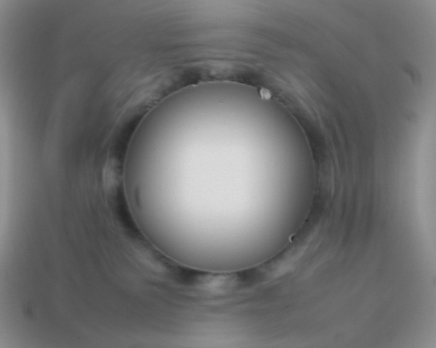 X0000114140135200910221533