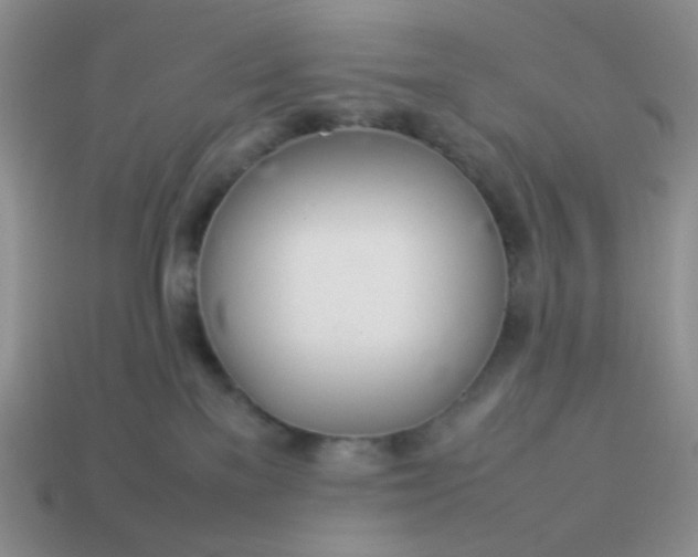 X0000114140137200910221533