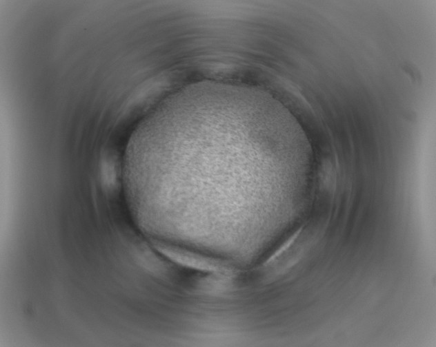 X0000114140138200910221533