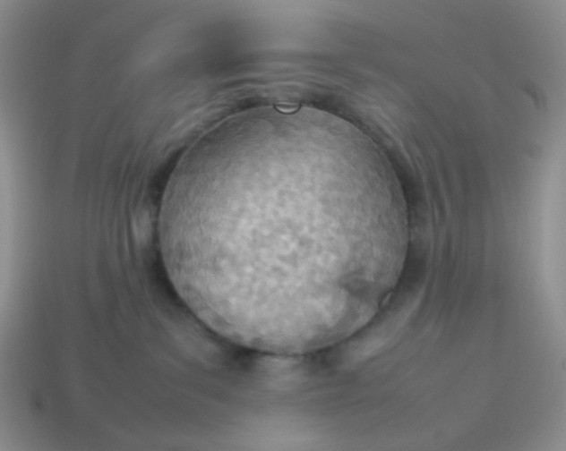 X0000114140139200910221533