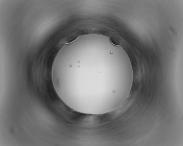 X0000114140140200910221533