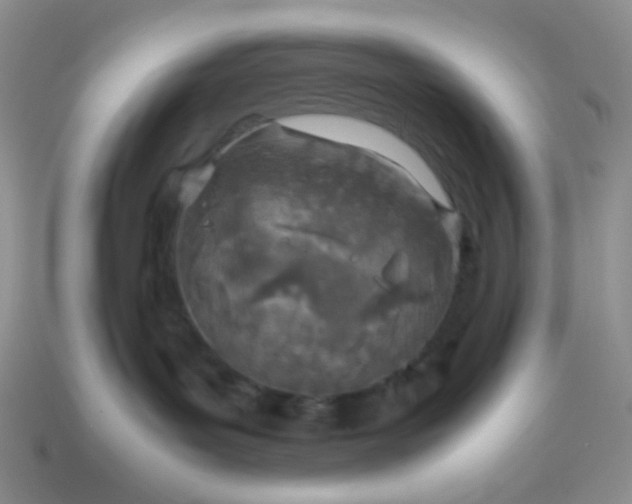 X0000114140143200910221533