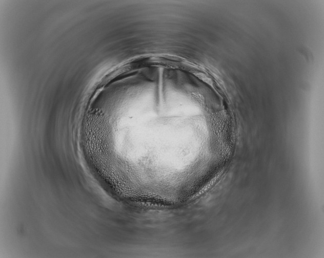 X0000114140145200910221532