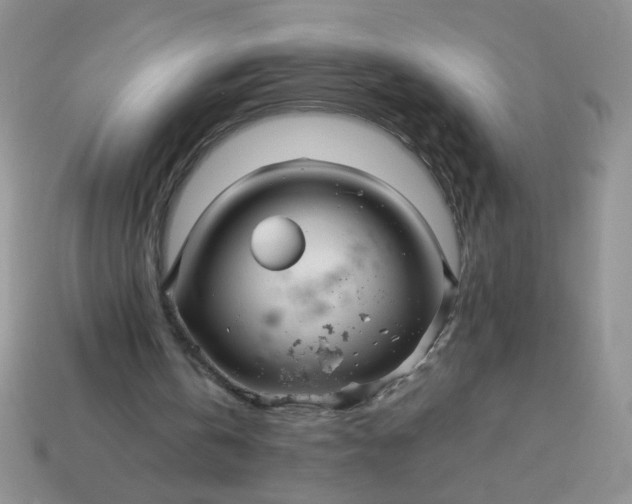 X0000114140146200910221532