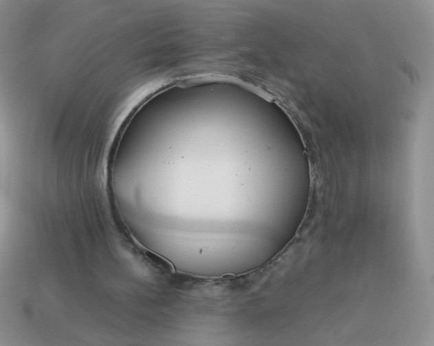 X0000114140148200910221532