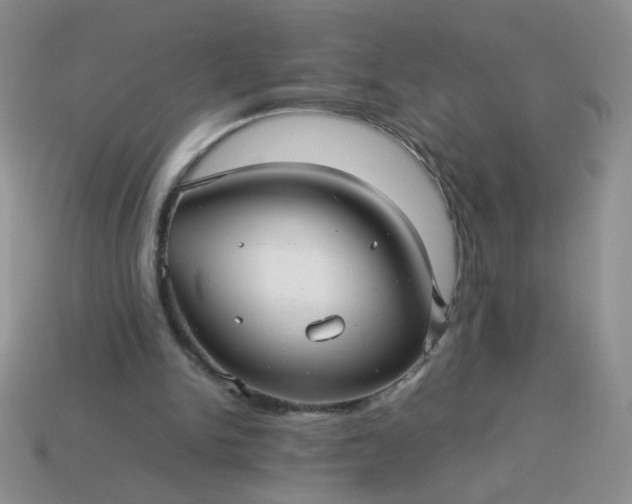 X0000114140150200910221532