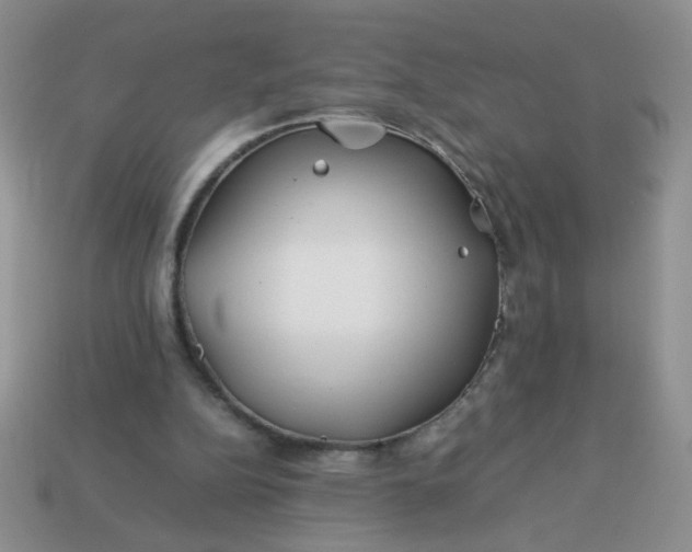 X0000114140152200910221532