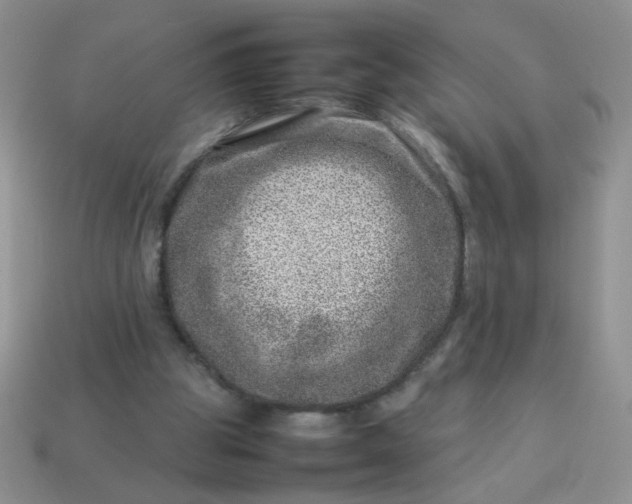 X0000114140153200910221532