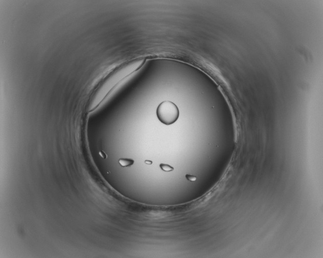 X0000114140154200910221532